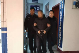 丰泽贷款清欠服务